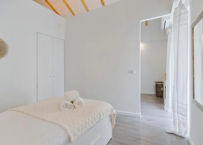 Felp Largo Da Misericordia Setúbal